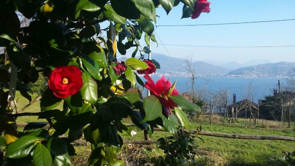 Casa Madama Apartman Cannero Riviera Kültér fotó